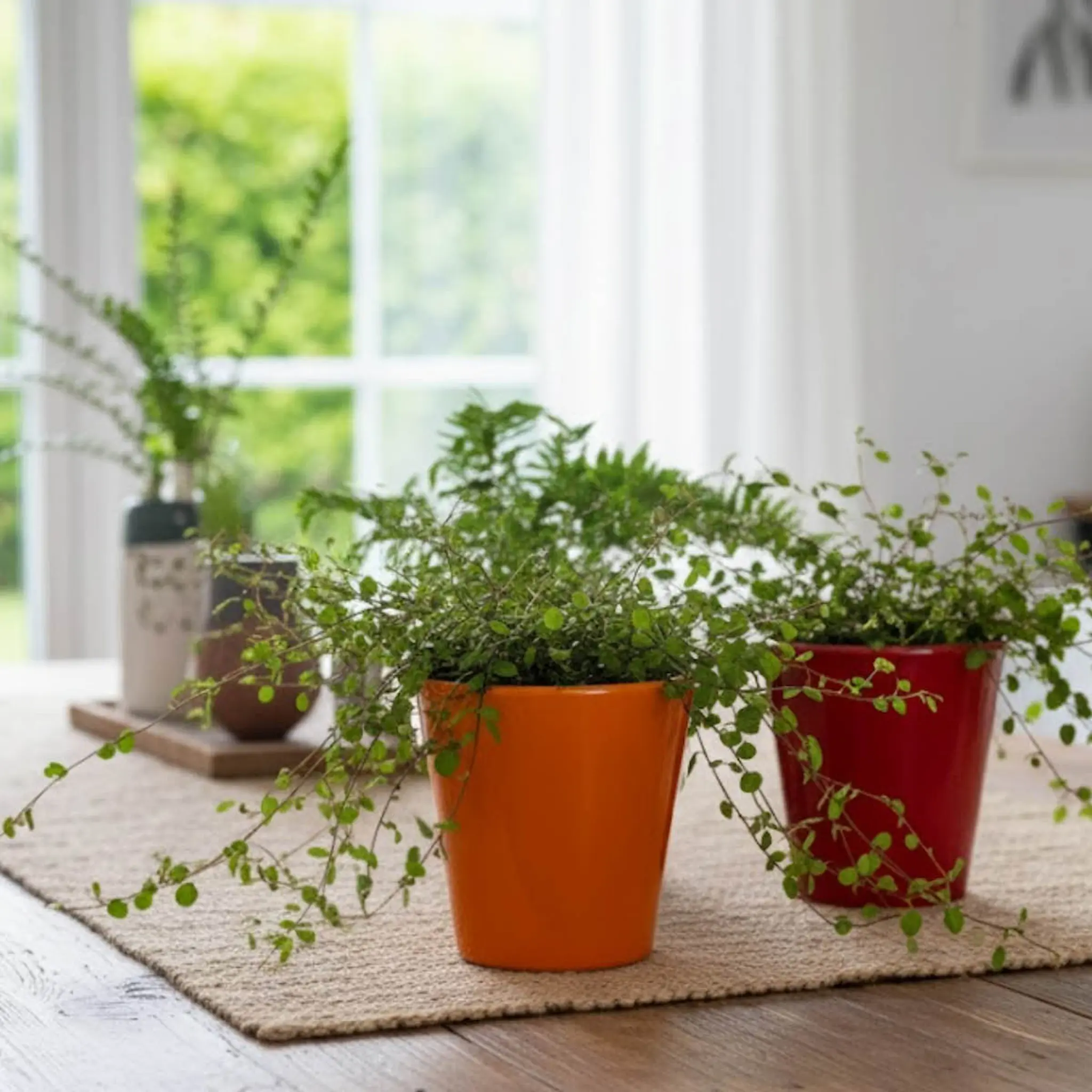 Rotor Design Plant blomkruka liten 12x12 cm orange