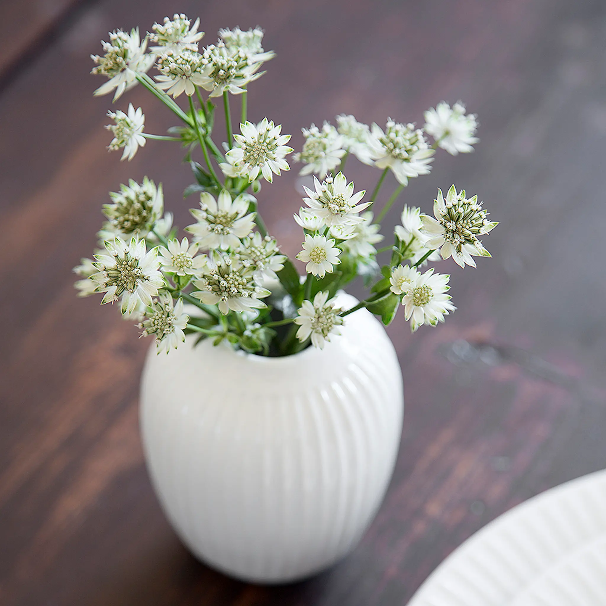 Kähler Hammershøi Maljakko 10 cm Valkoinen