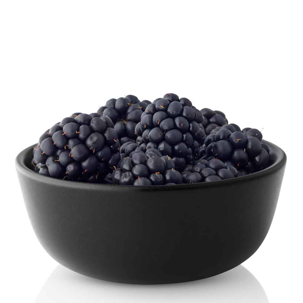 Eva Solo Nordic Kitchen skål 0,15L