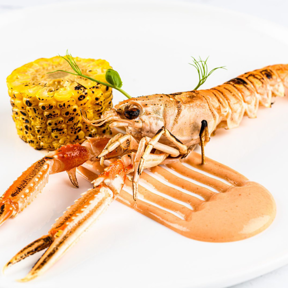 Plate It Skrapa silikon 3 delar grå