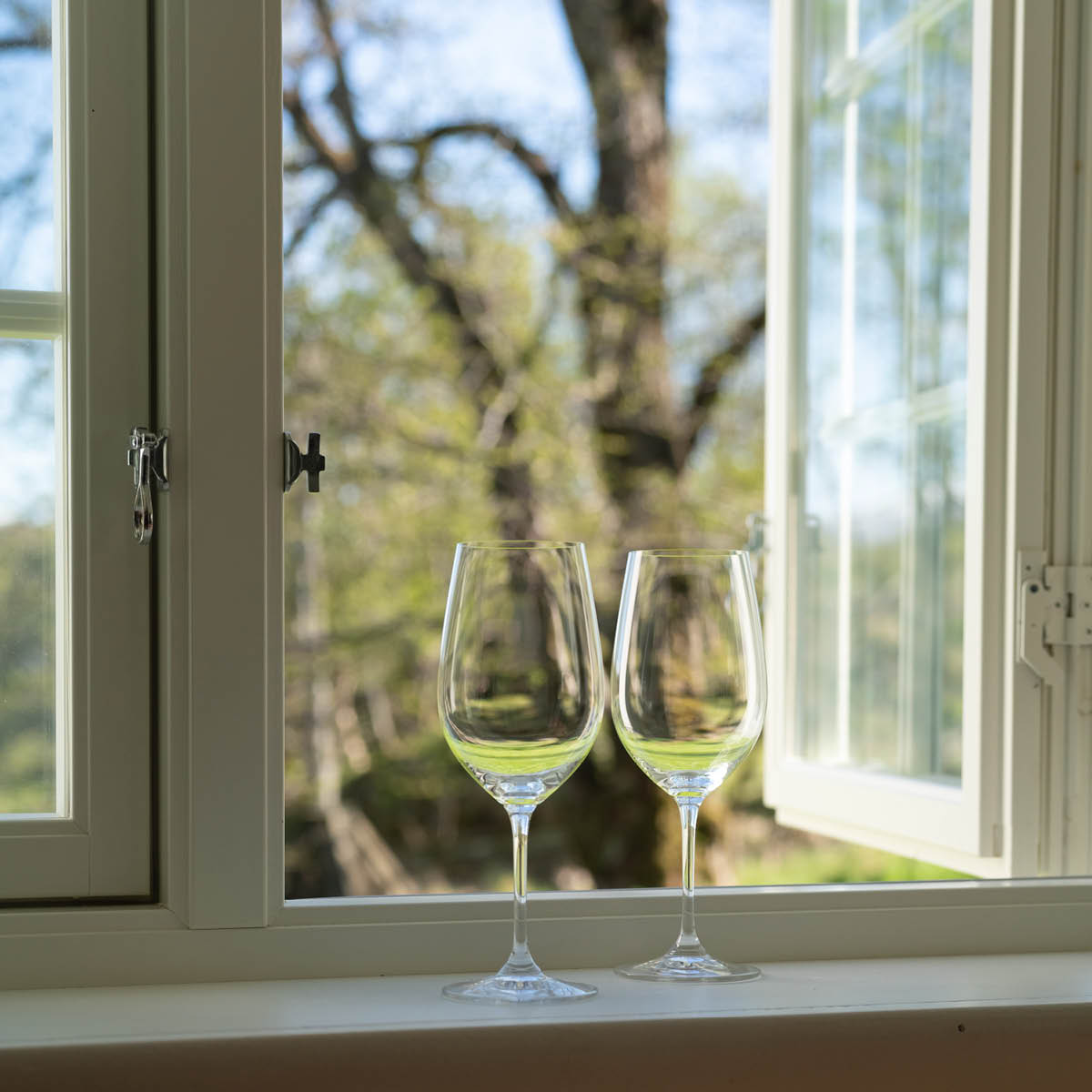 Riedel Vinum riesling/zinfandel glass 2 stk