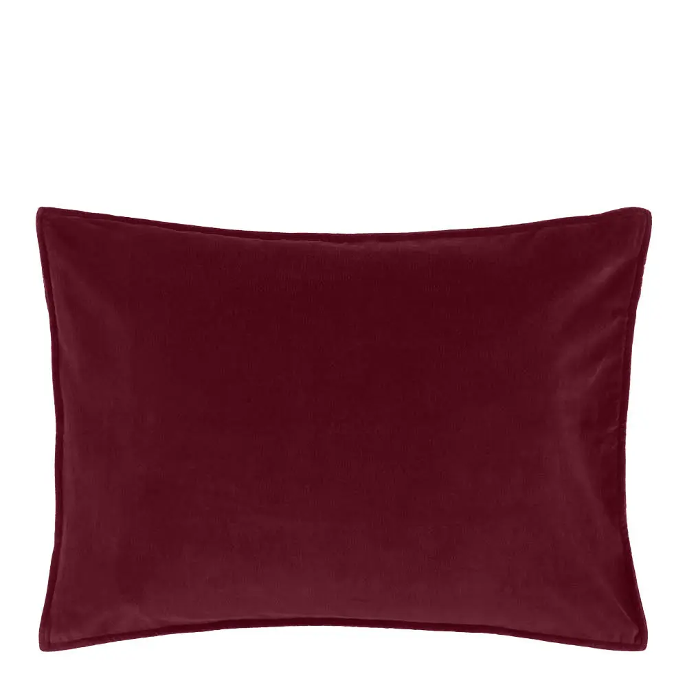 Tyyny sametti 50x70 cm viininpunainen