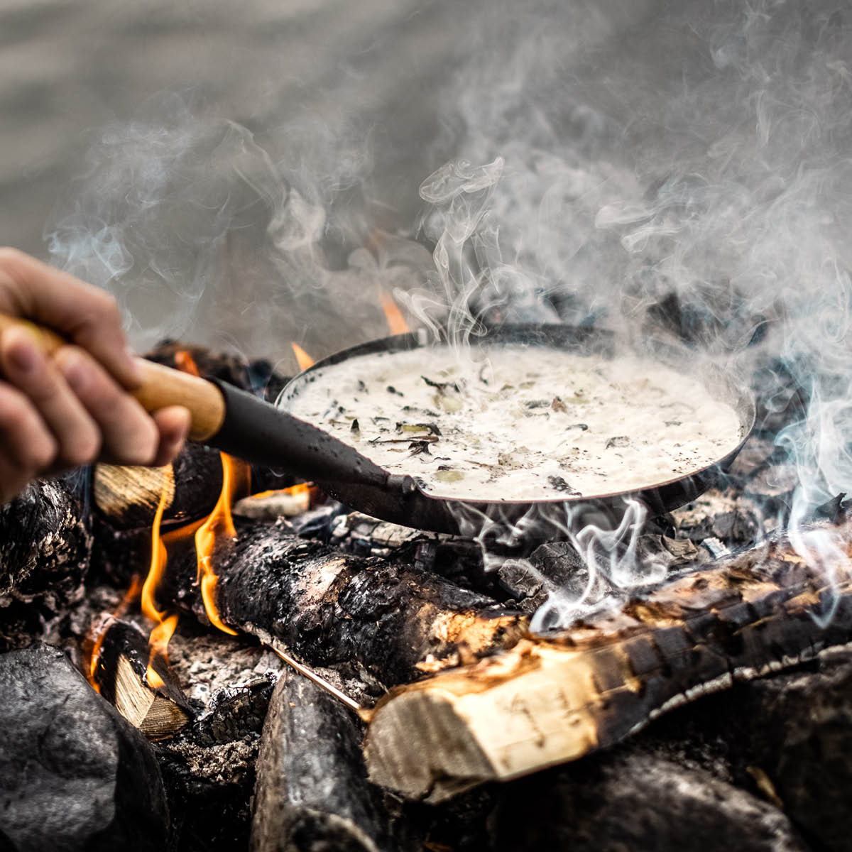 Hällmark of Sweden Hällmark Retkipaistinpannu 21 cm