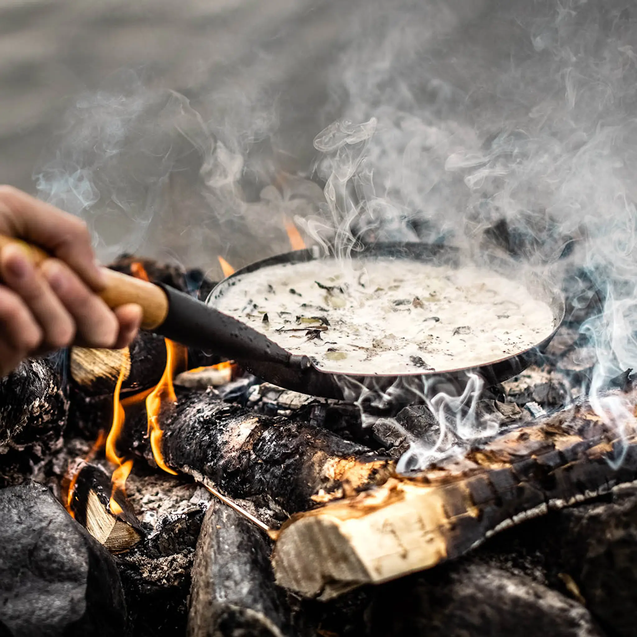 Hällmark of Sweden Hällmark Retkipaistinpannu 21 cm