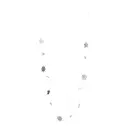 Stars girlang 200 cm silver