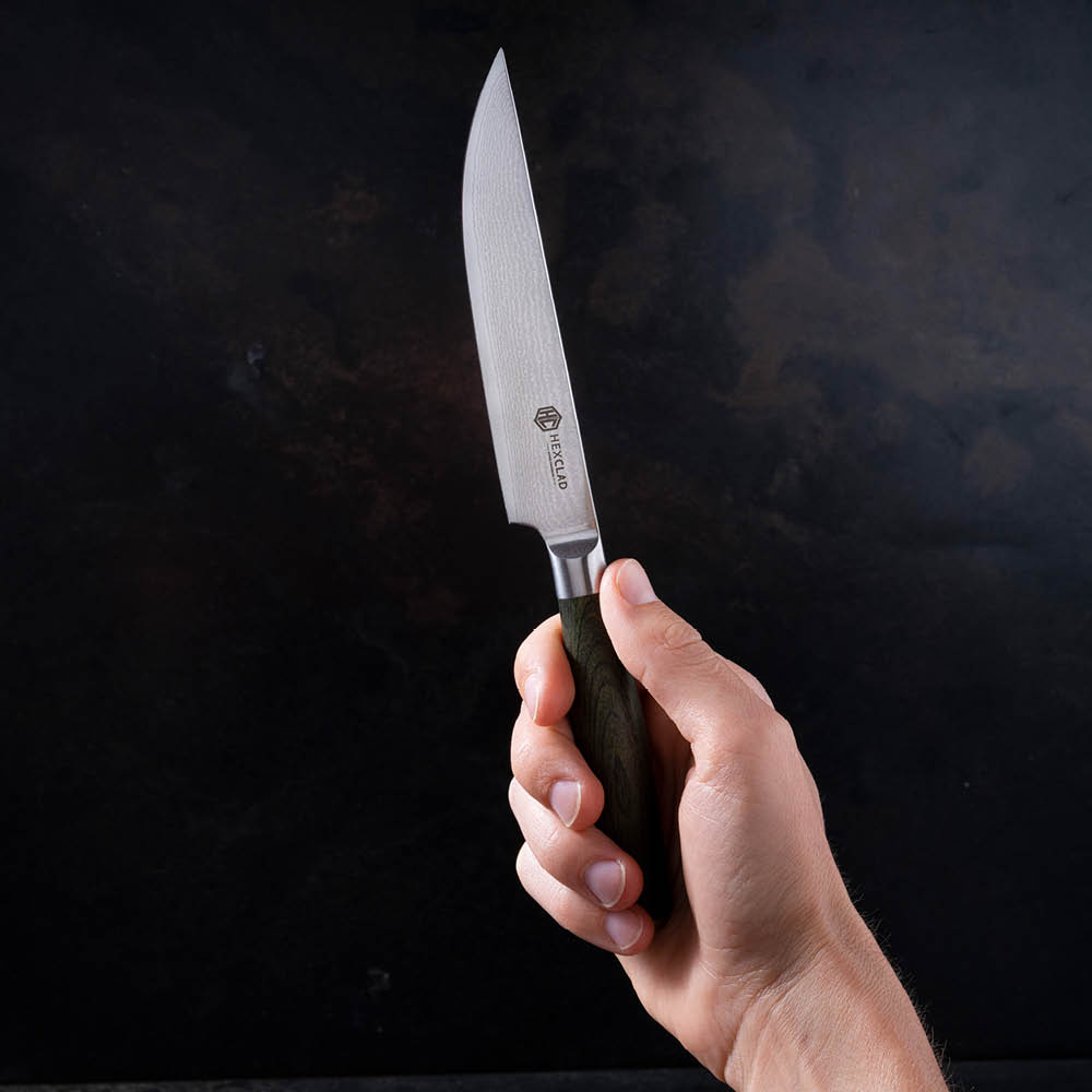 Hexclad Hybrid biffknivsett 4 deler skogsgrønn