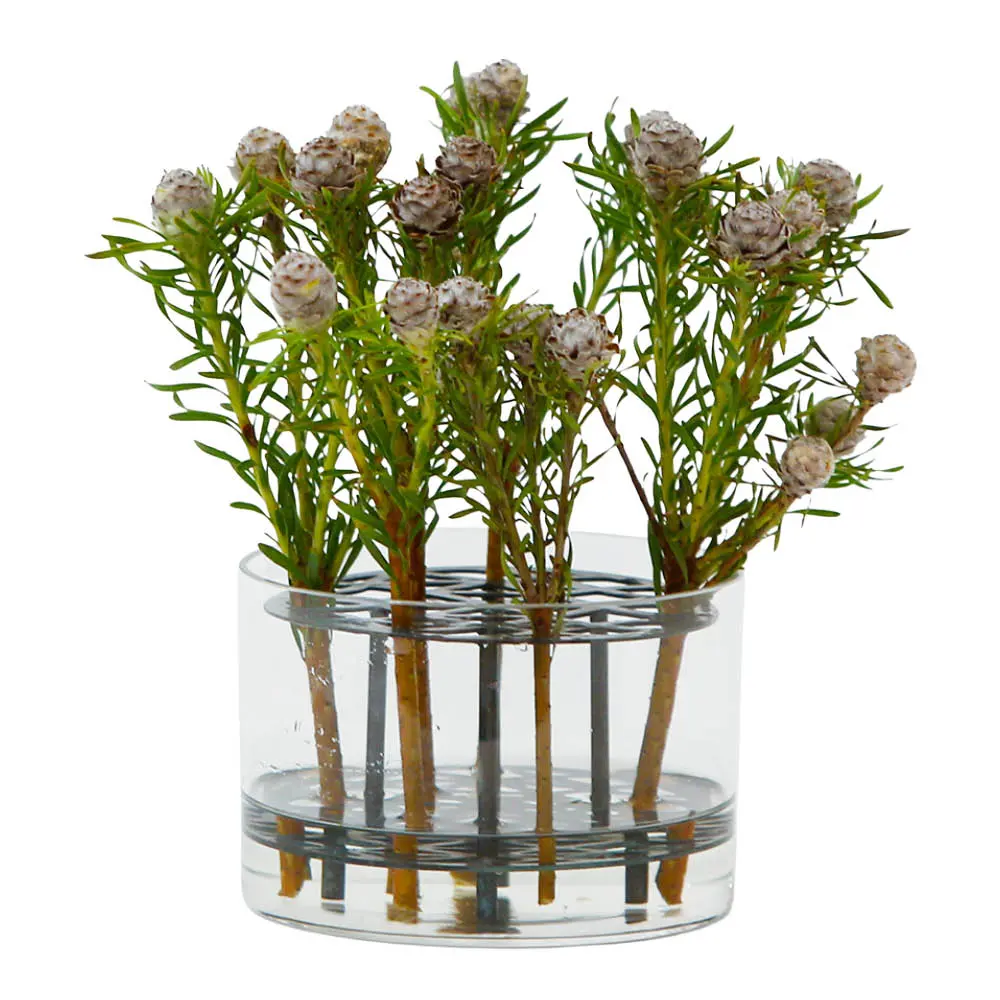 Äng vase liten blå