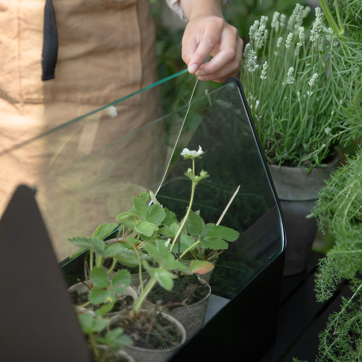 Eva Solo Simply Grow Miniväxthus 20x42x32 cm svart