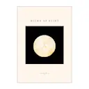 Hilma af Klint poster 50x70 cm svanen no. 14