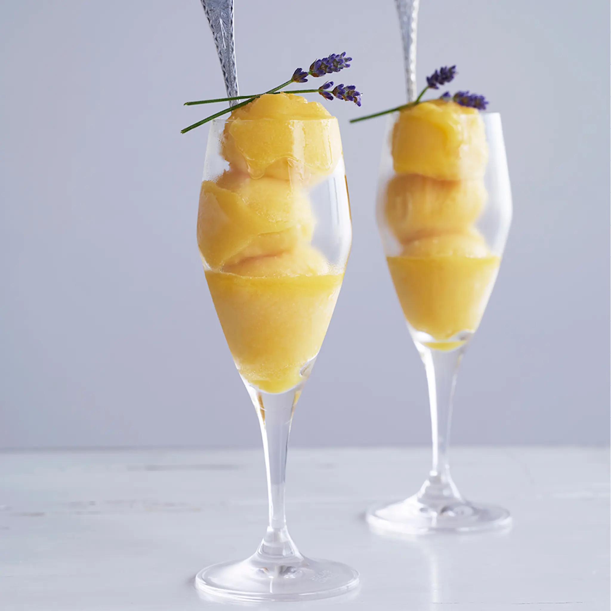 Holmegaard Perfection champagneglas 23 cl