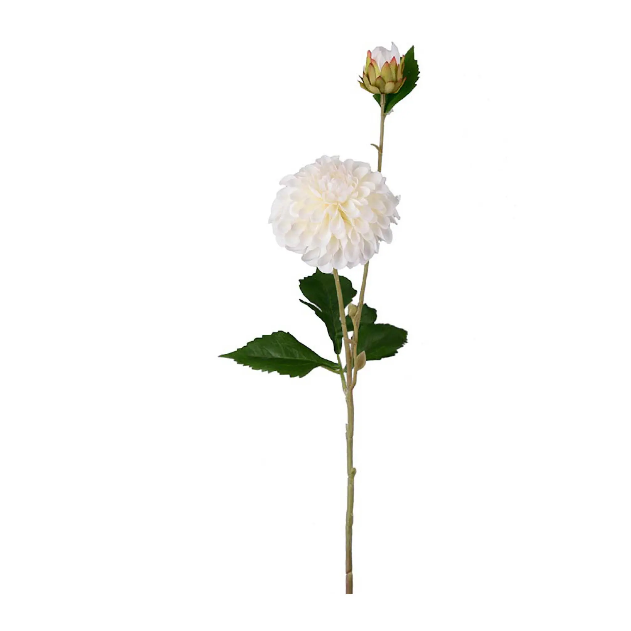 Mr Plant Daalia keinotekoinen leikkokukka 66 cm kerma