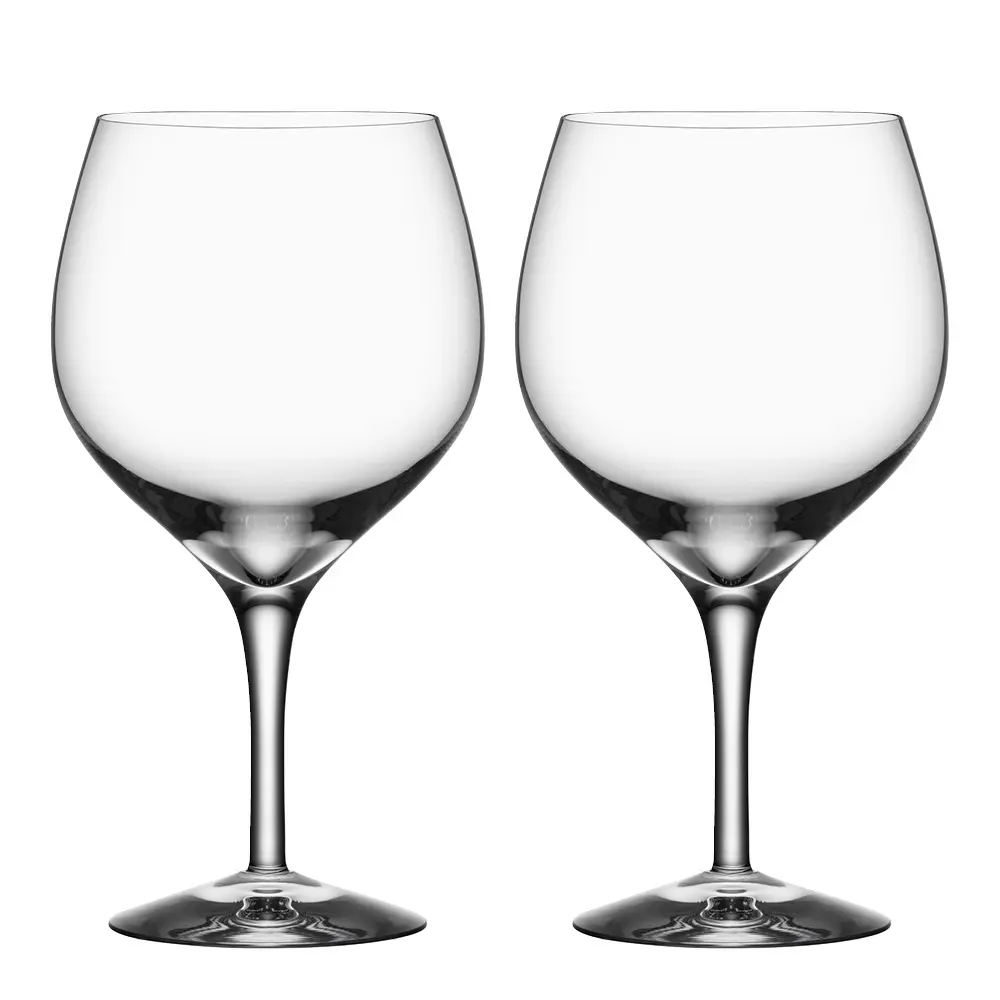 Gin & Tonic -lasi 64 cl 2 kpl