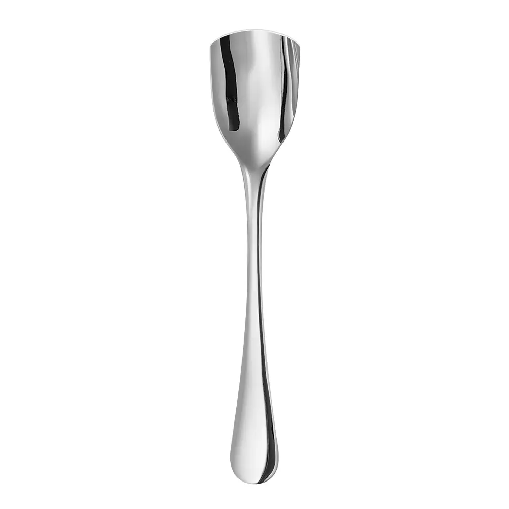 Radford Bright Jäätelölusikka 15 cm