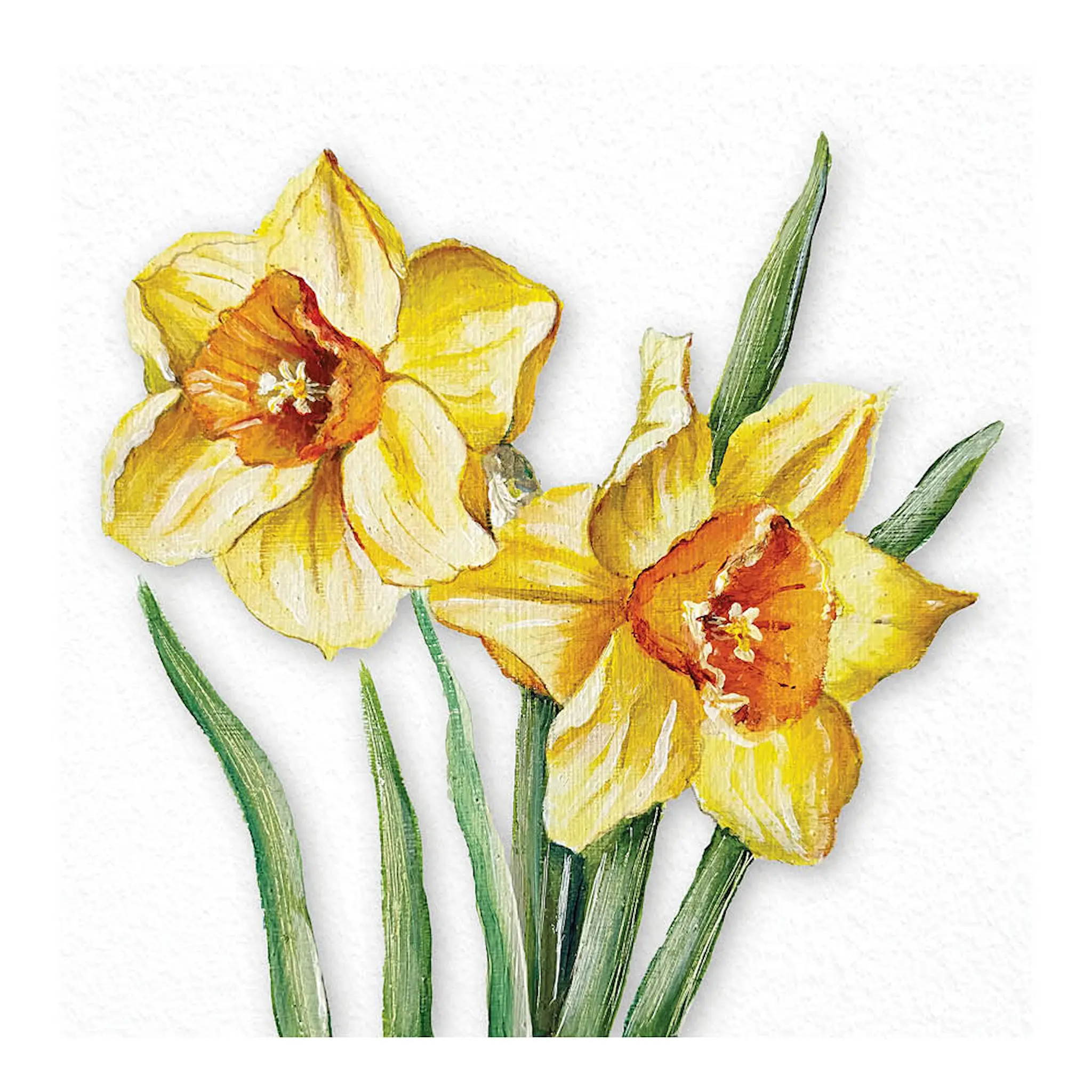 Ambiente Servetti 33x33 cm 20 kpl Flowering Daffodils
