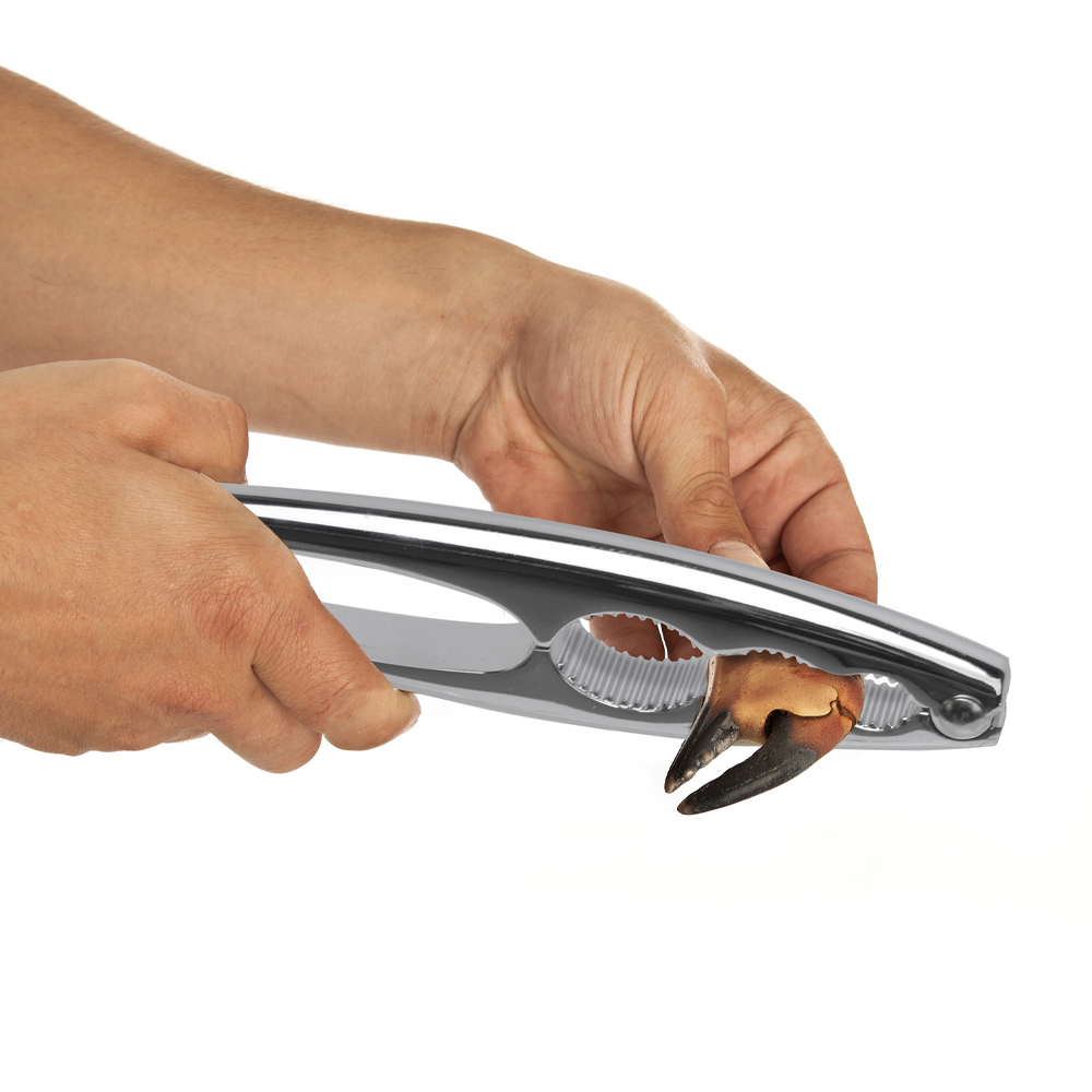 Modern House Odin Äyriäis-aterimet Kiiltävä