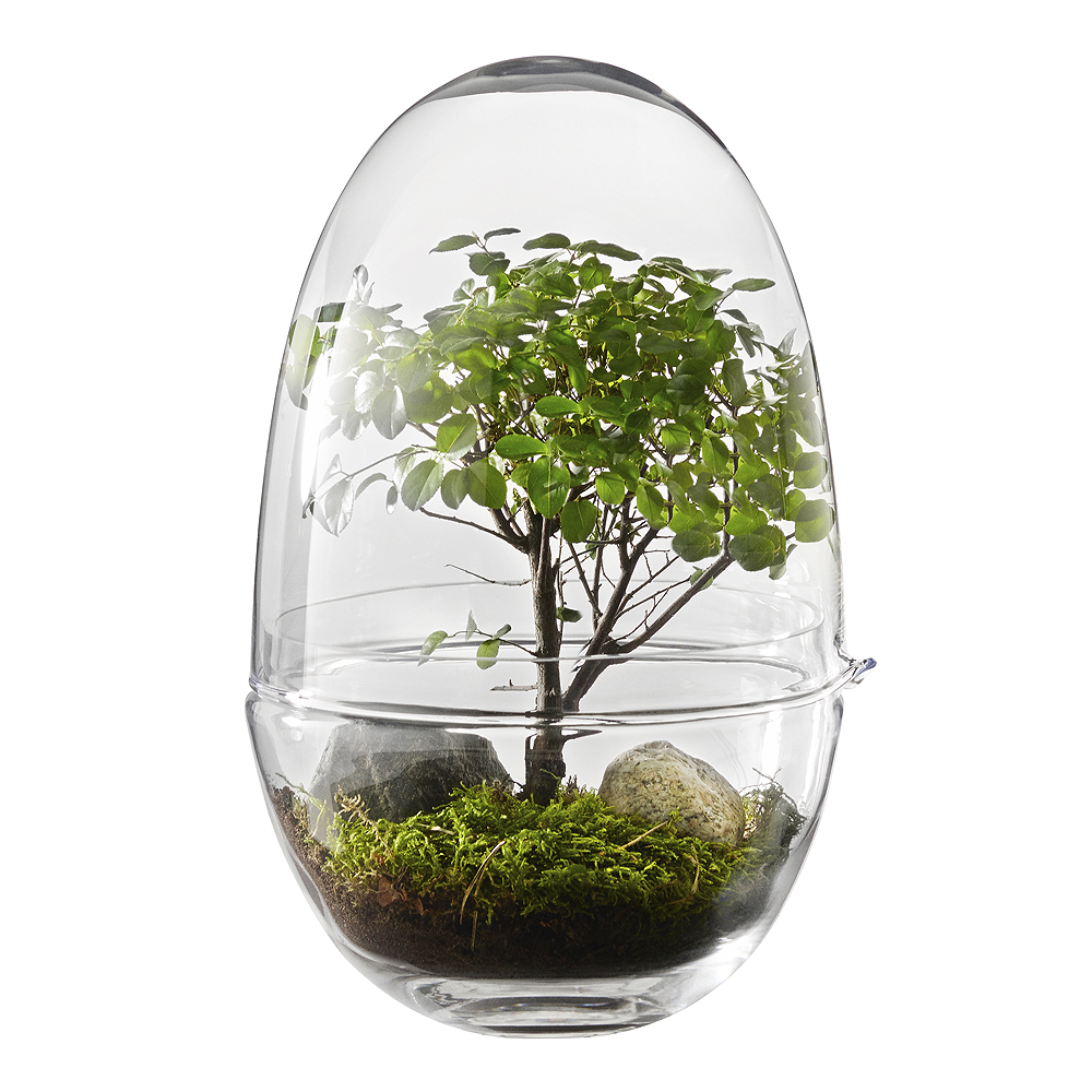Design House Stockholm - Grow Kasvihuone Large / Suuri 32 cm