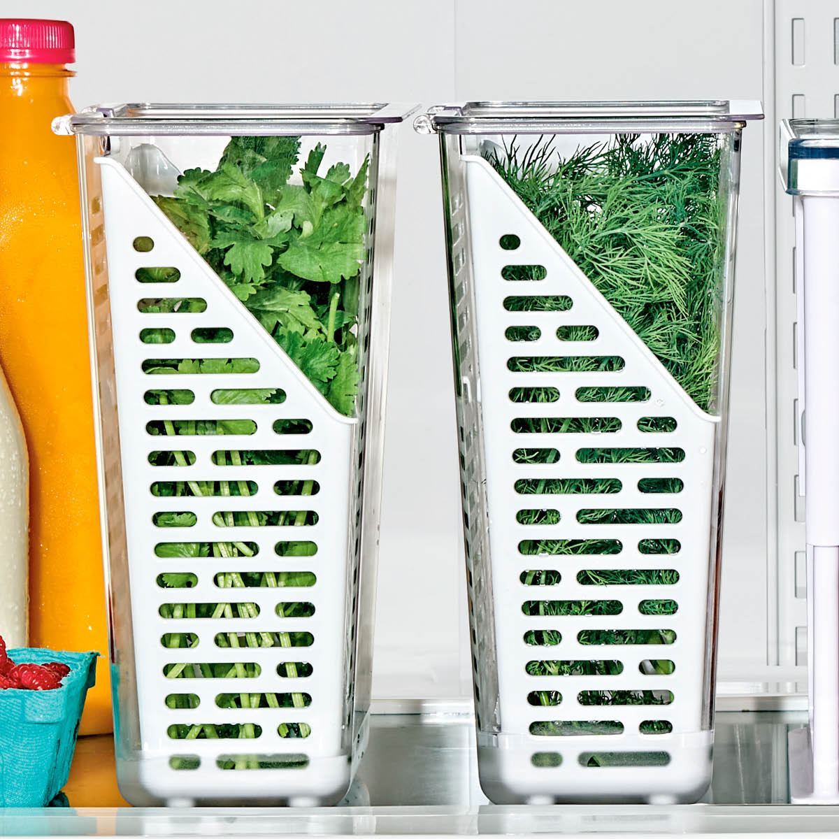 Oxo Oppbevaringsboks til kjøleskap 15,5x23 cm klar/hvit
