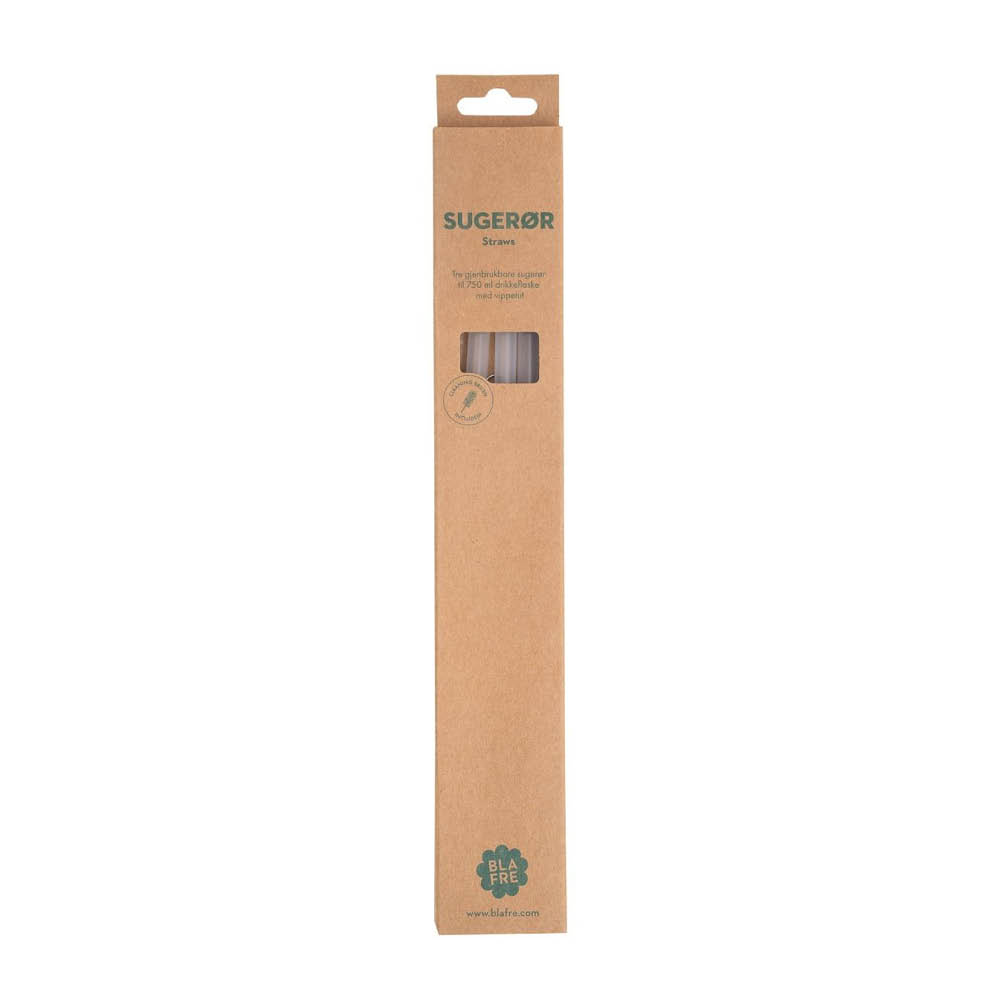 Blafre - Blafre Pilli 750 ml teräspulloon 3 kpl harjalla