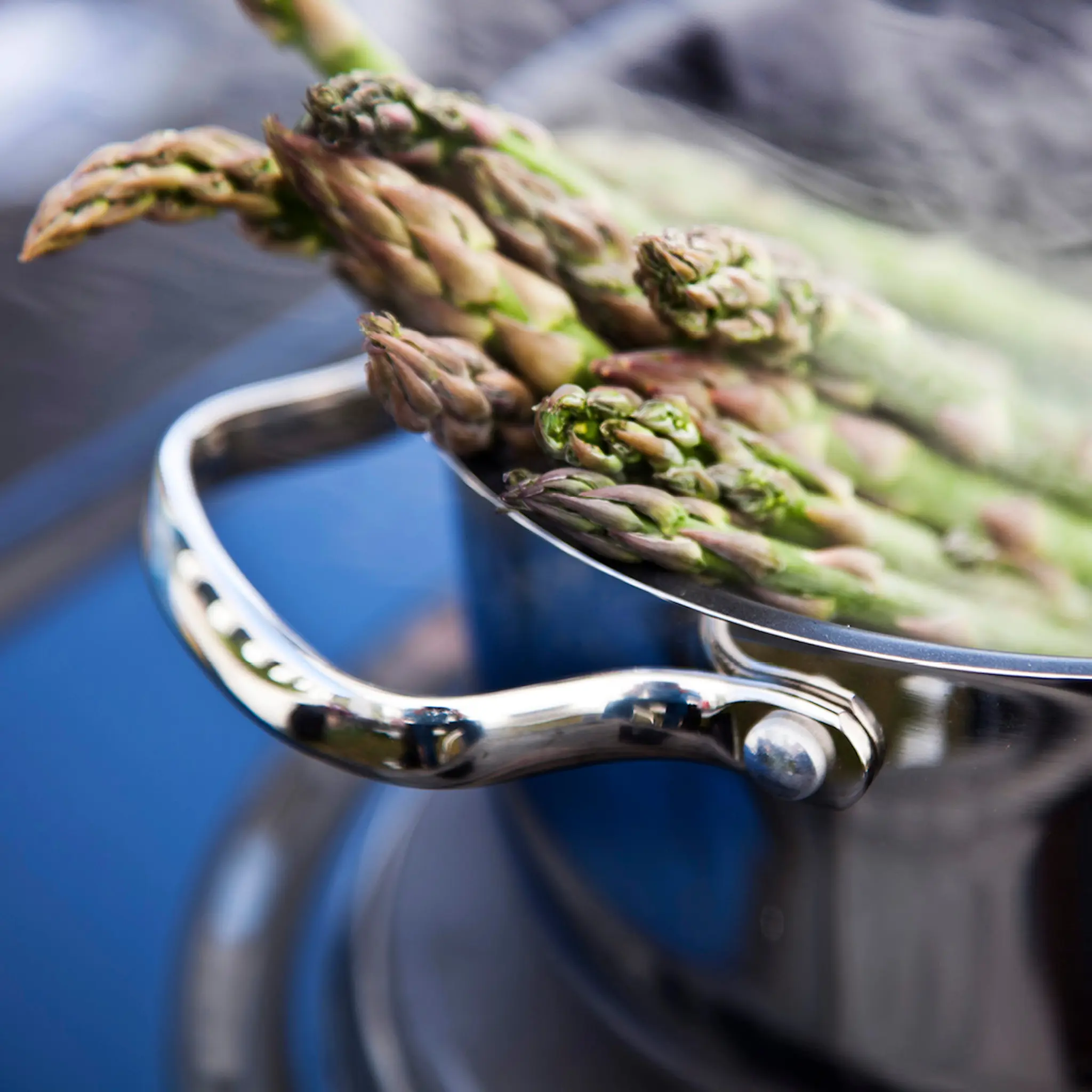 Modern House Rix Pata 6,7 L