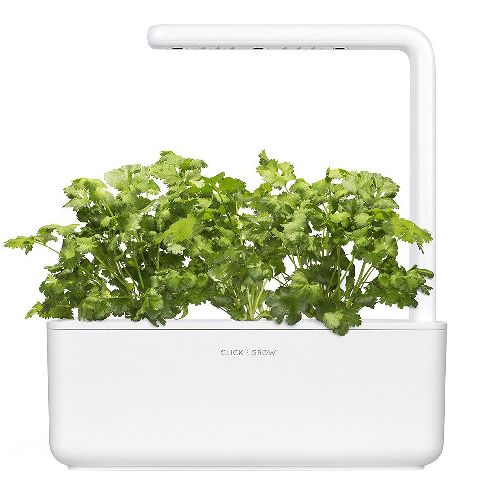 Click & Grow Smart Garden Refill 3 stk koriander