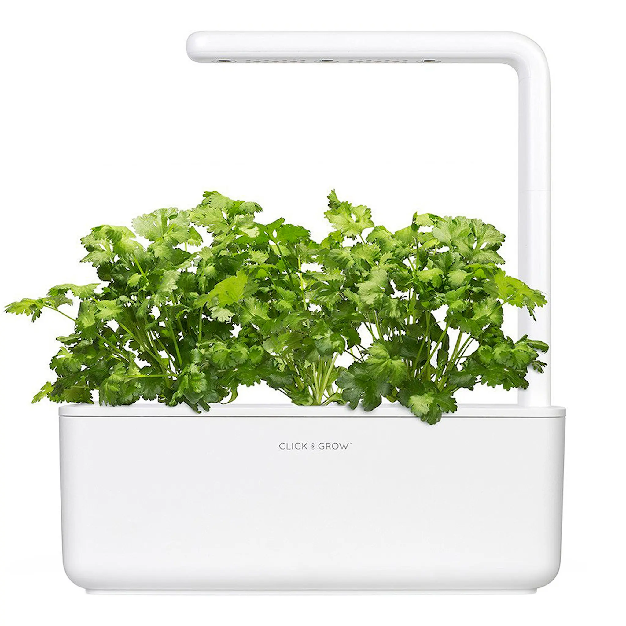 Click & Grow Smart Garden Refill 3-pack koriander