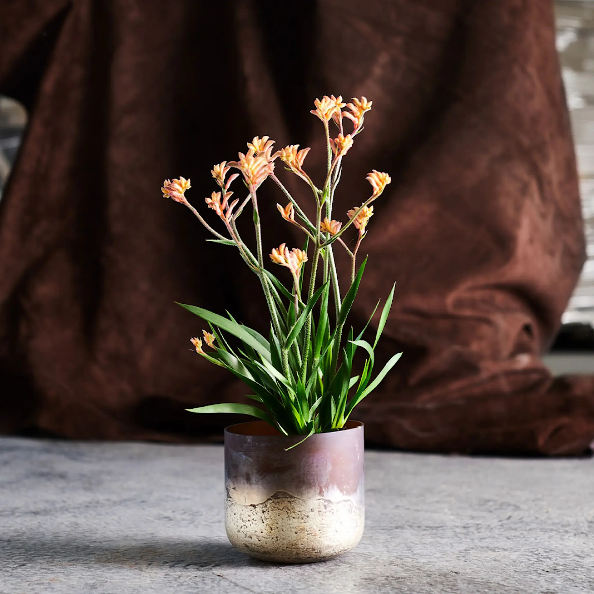 Muubs Lana vas 14 cm brun/guld