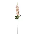 Delphinium 75 cm rosa