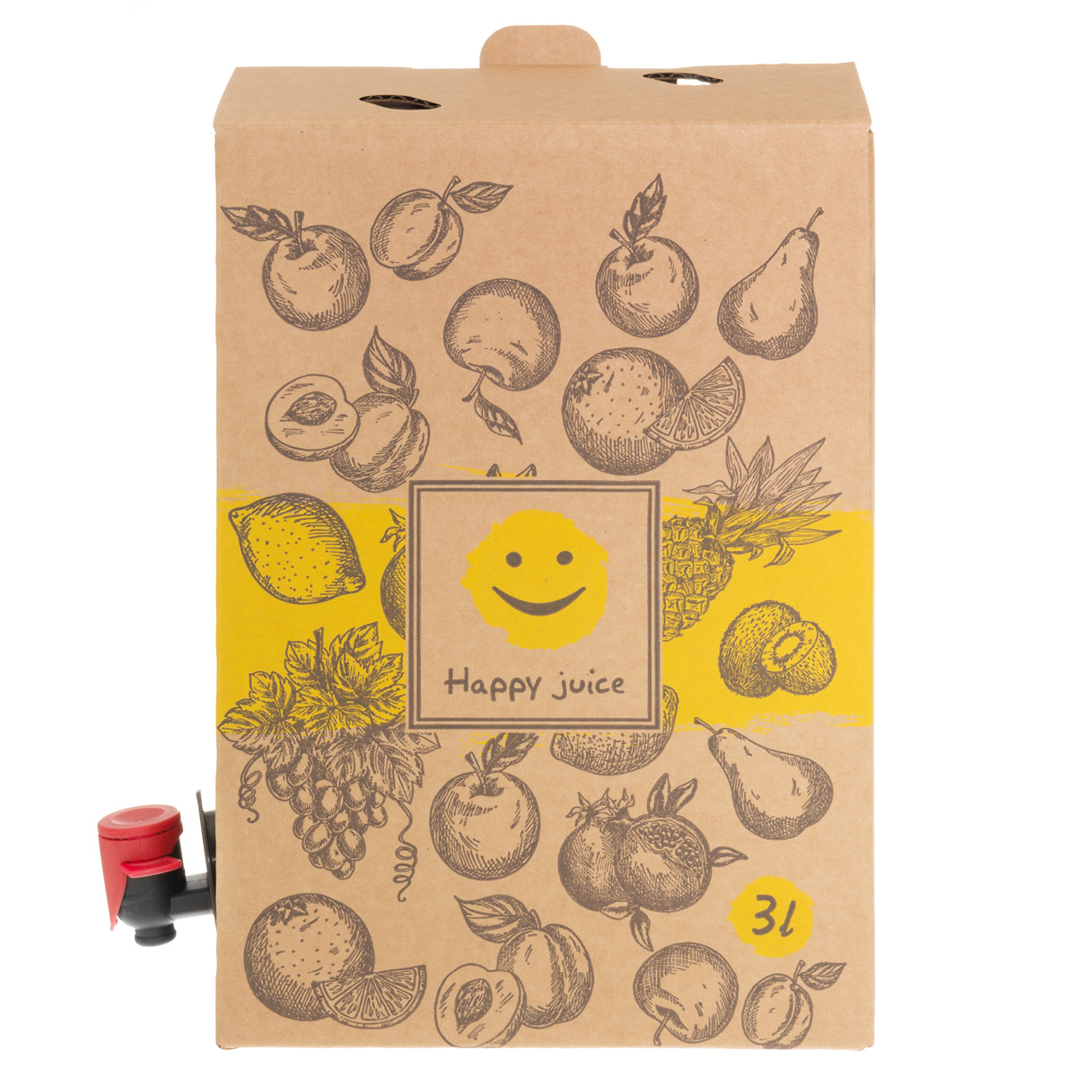 Marjukka Bag in Box Hanapussi 3 L + laatikko 4 kpl