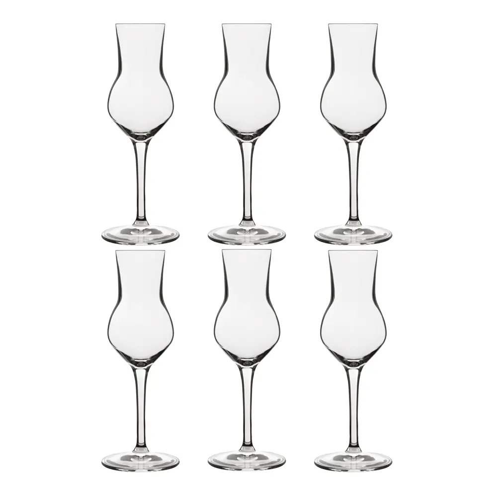 Atelier Grappalasi 8 cl 6 kpl