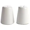 Arctic White