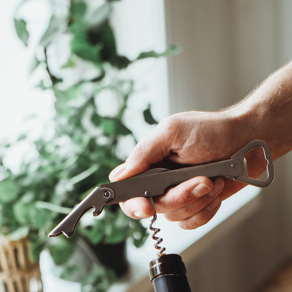 Dorre Varda Vin- og flaskeåpner 14,5 cm rustfritt stål
