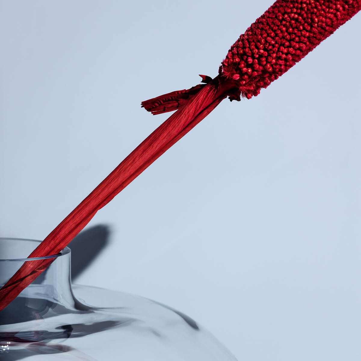 Kosta Boda Kappa Maljakko 21 cm Sininen