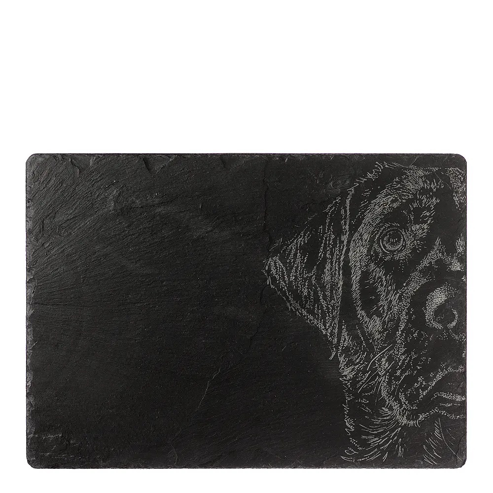 Juustotarjotin Labradorinnoutaja