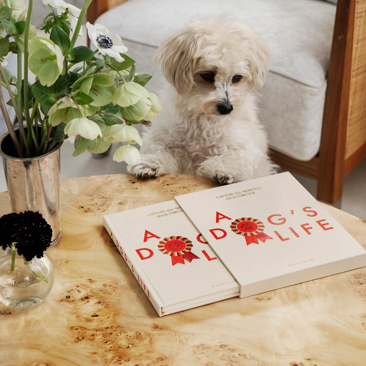 Printworks A Dog’s Life hundjournal