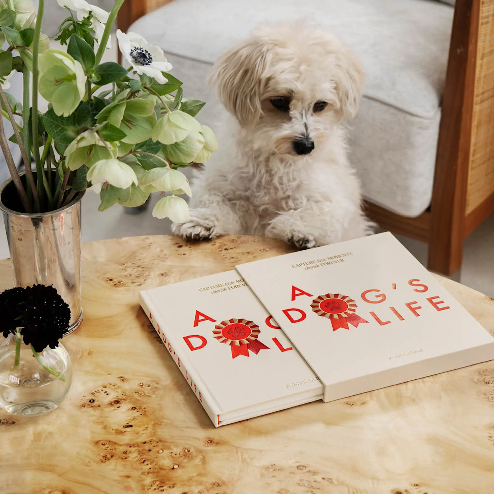 Printworks Koirapäiväkirja A Dog’s Life