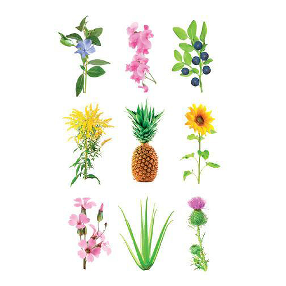 Click & Grow Smart Garden Refill 3 stk eksperimentell