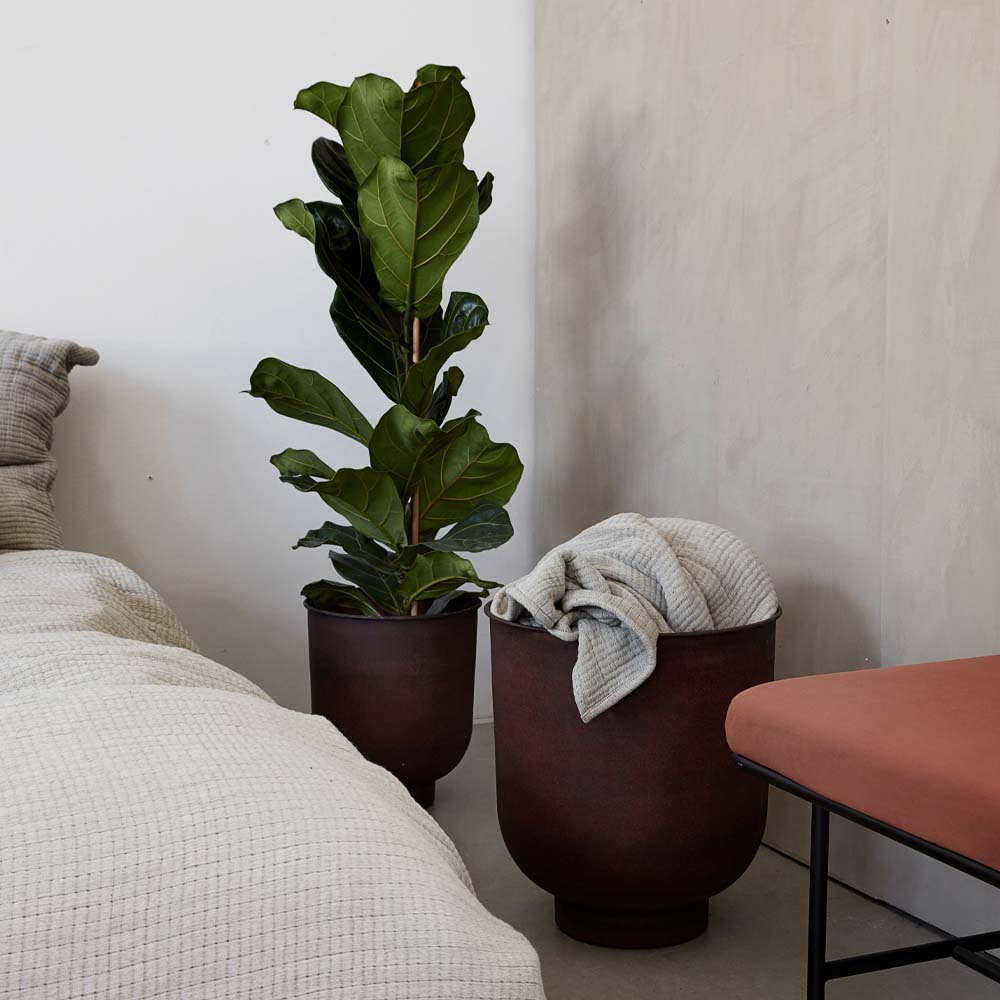 House Doctor Vig Krukor 2-pack Brun