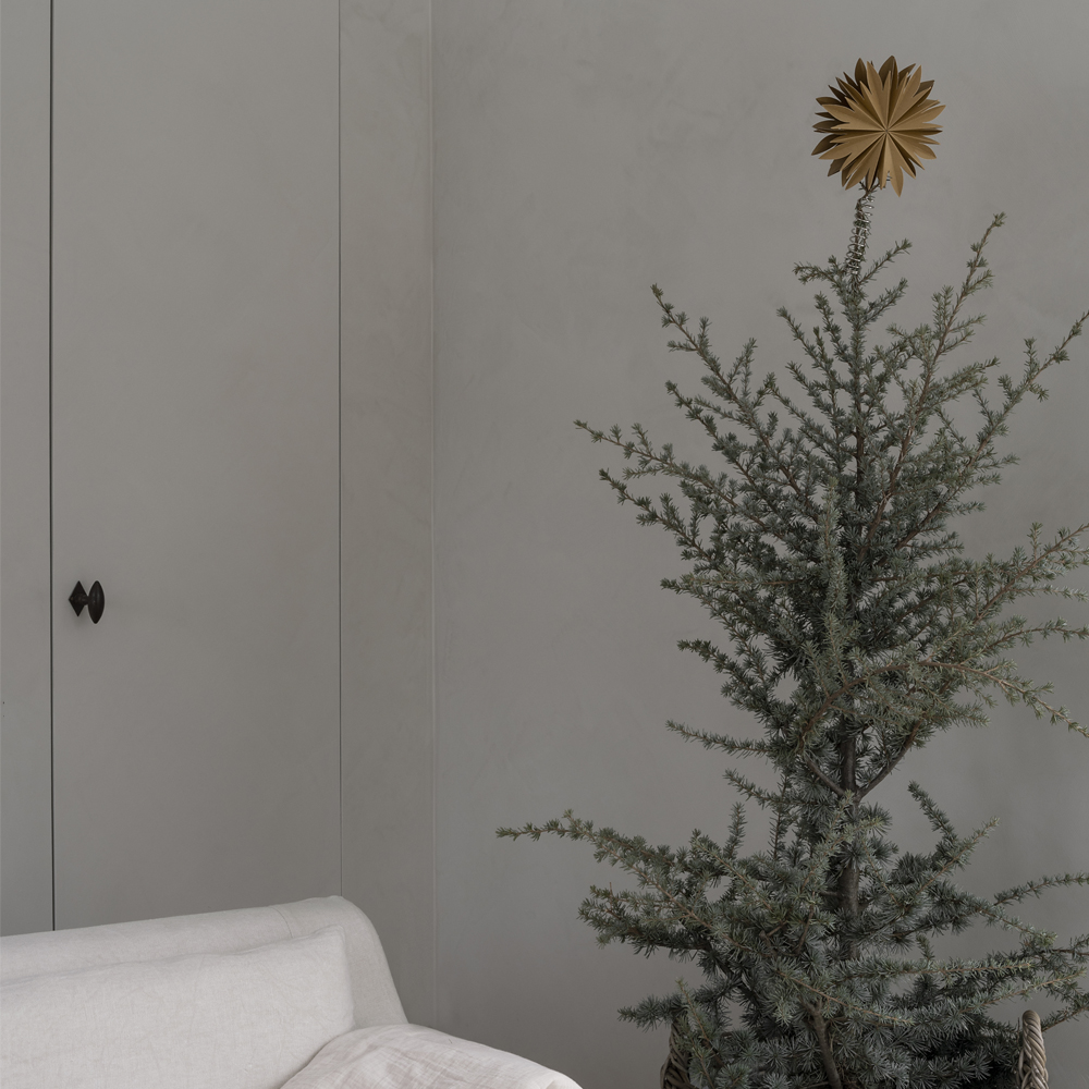 Watt & Veke Nova Toppstjärna Guld