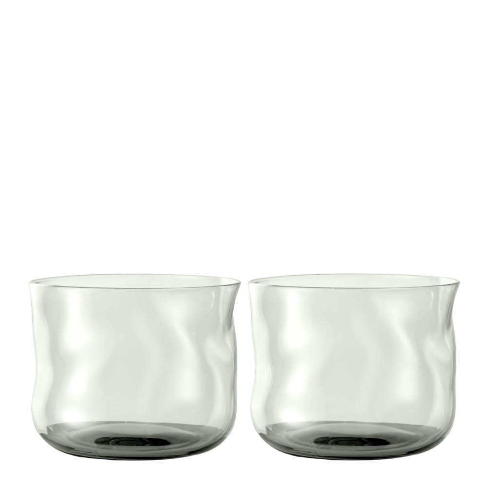 Paveau - Swirl Tumbler Lasi 24 cl 2 kpl Wave