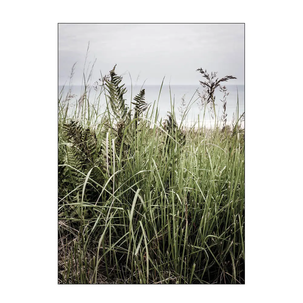 Foto Factory Juliste 30x40 cm Svinkløv