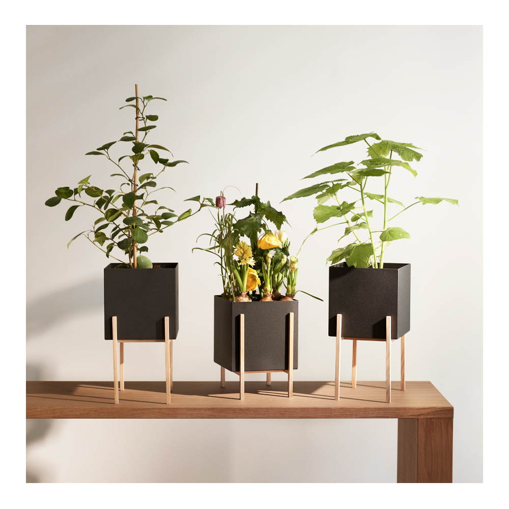 Design House Stockholm Greenery botanic potte