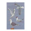 Måsar Handduk 40x60 cm Blå