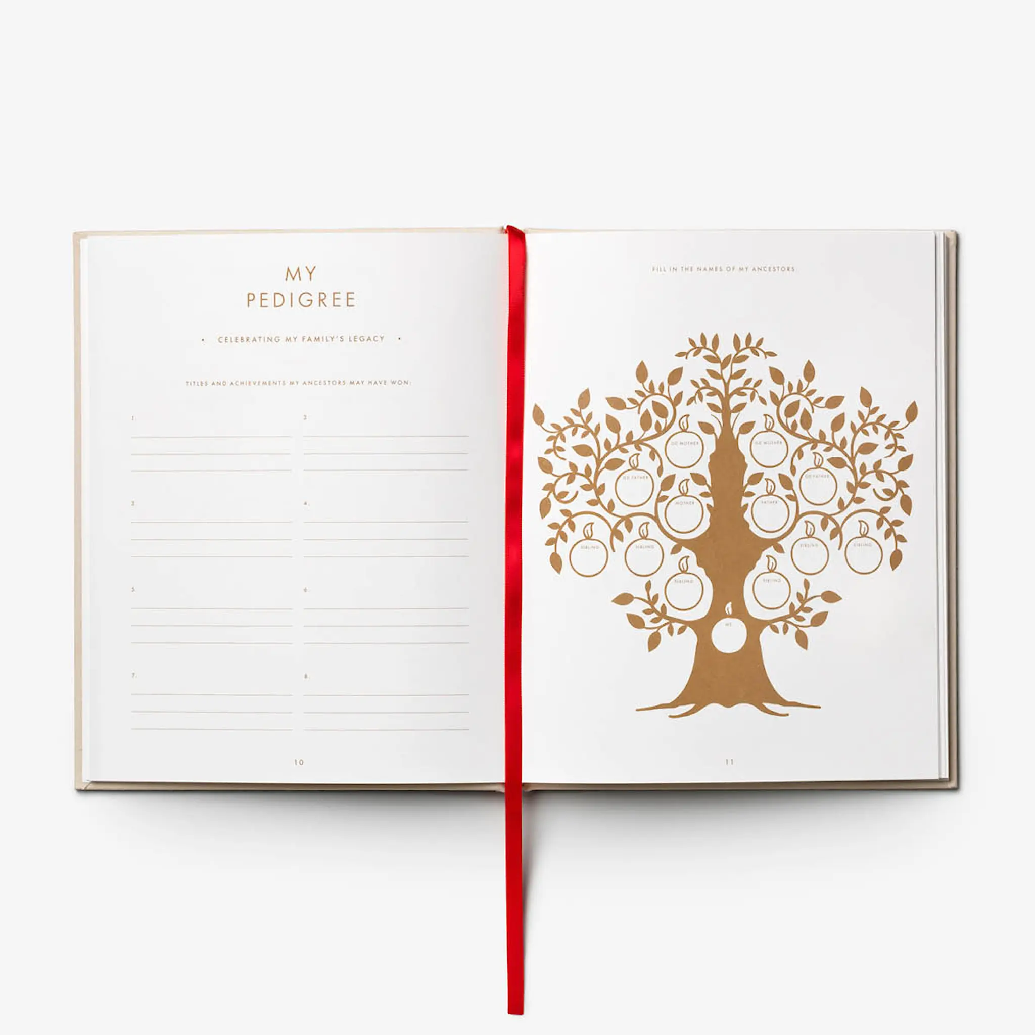 Printworks Koirapäiväkirja A Dog’s Life