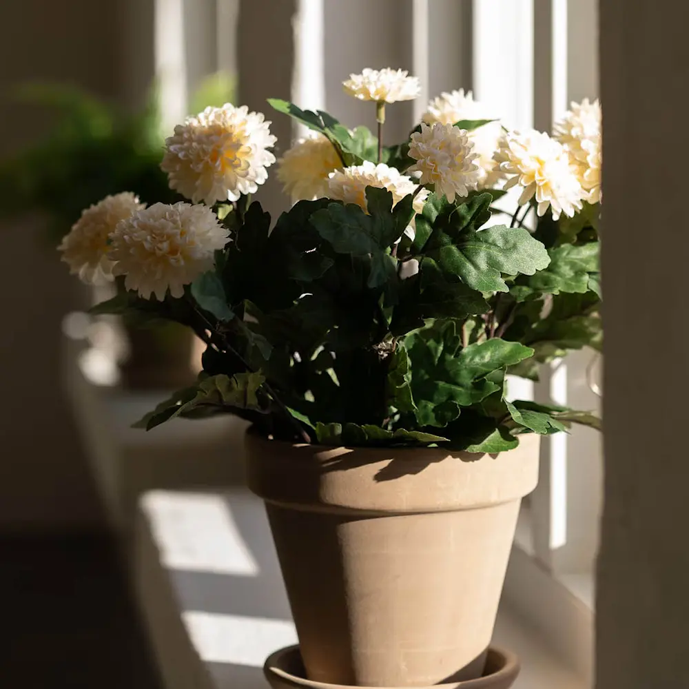 Chrysanthemum kunstig plante 30 cm krem