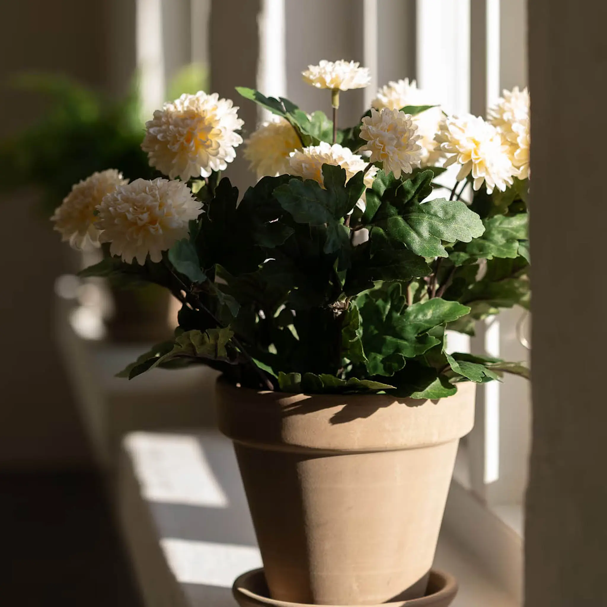 Mr Plant Chrysanthemum kunstig plante 30 cm krem