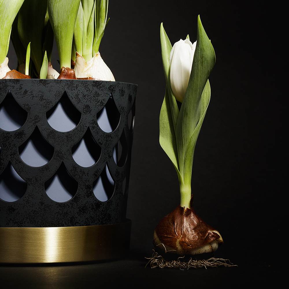 Klong Trio krukke drop medium blå