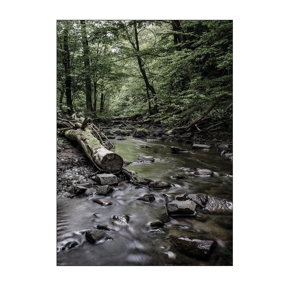 Foto Factory Juliste 50x70 cm Kobbe Å