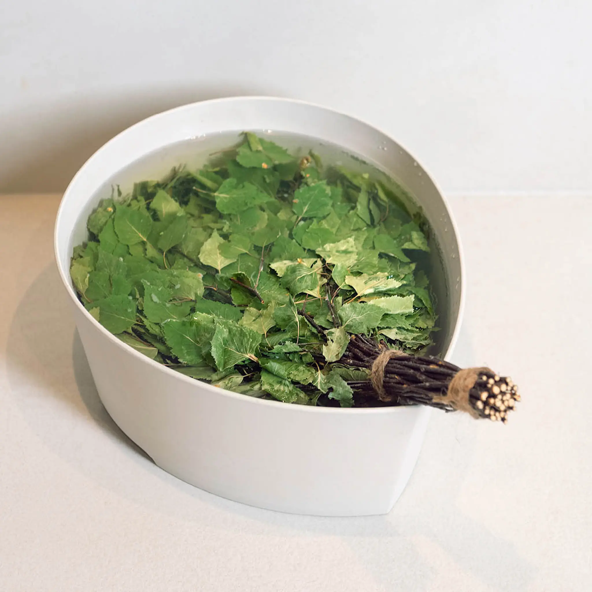 Rento Bastukvast björk 48 cm