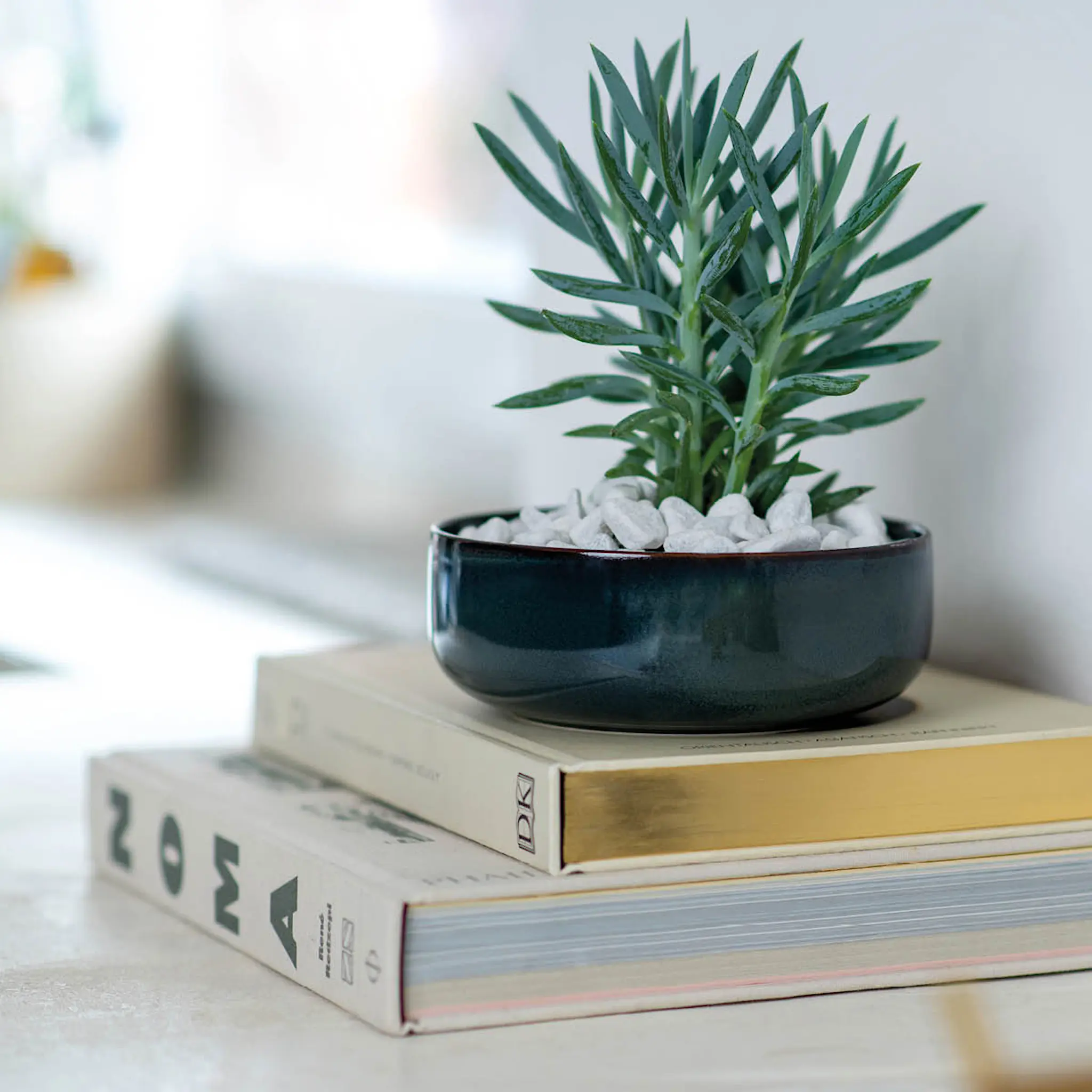 Villeroy & Boch Crafted Denim Skål 16 cm
