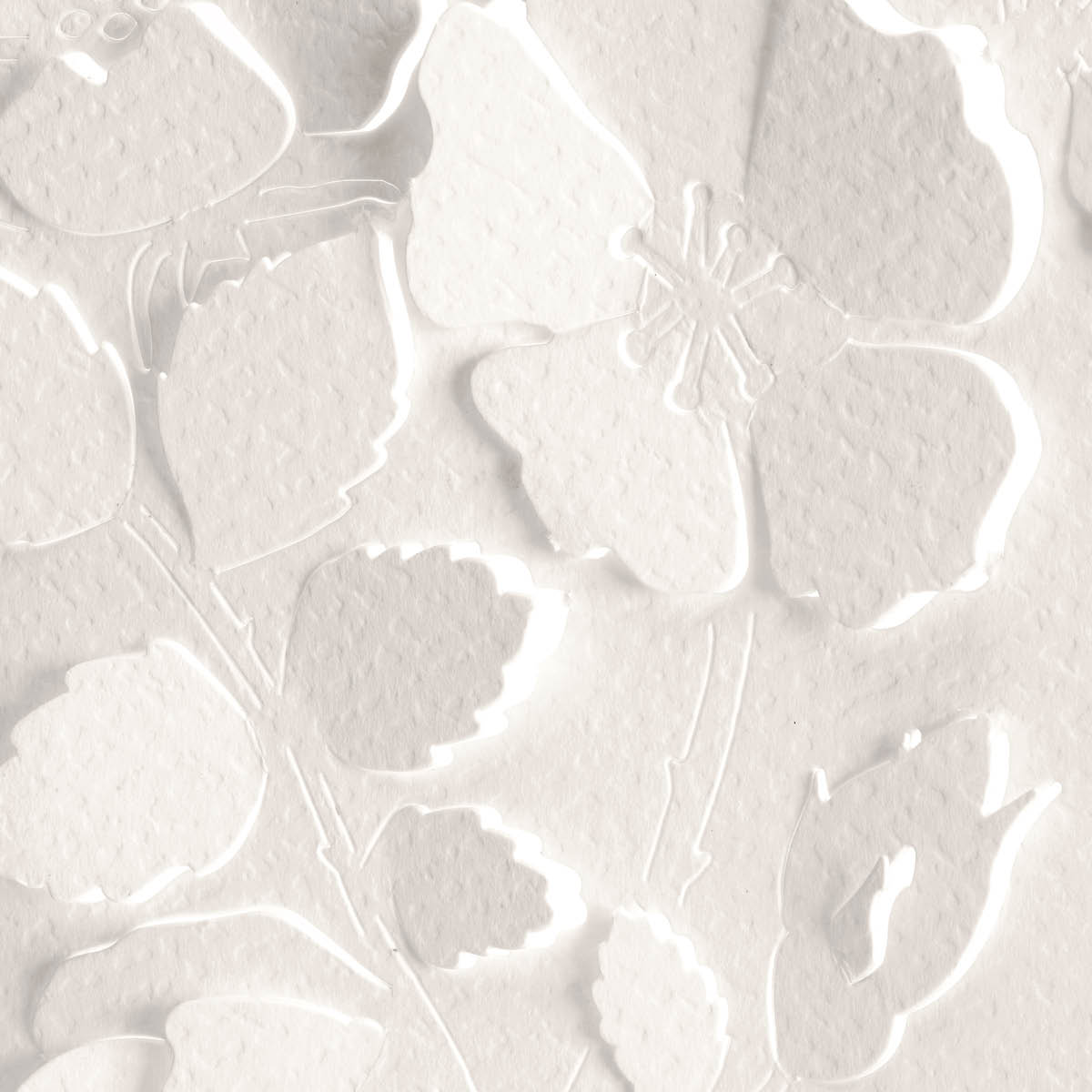 Cooee Kortti 10x15 cm Wild Roses